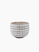 Load image into Gallery viewer, Dots Vessel
