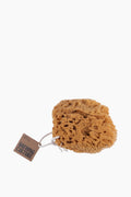 Mineral Sea Sponge