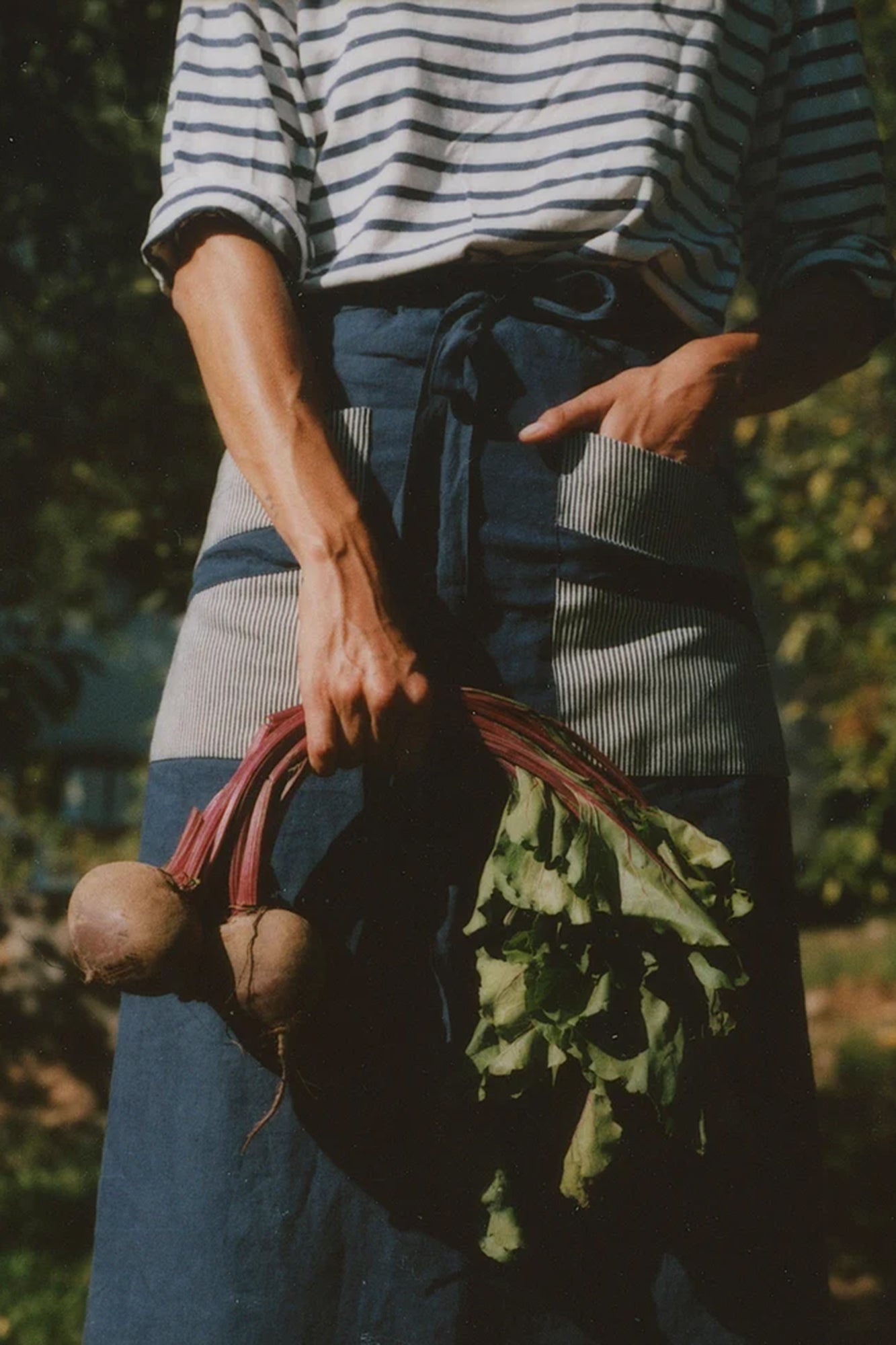 The Apron