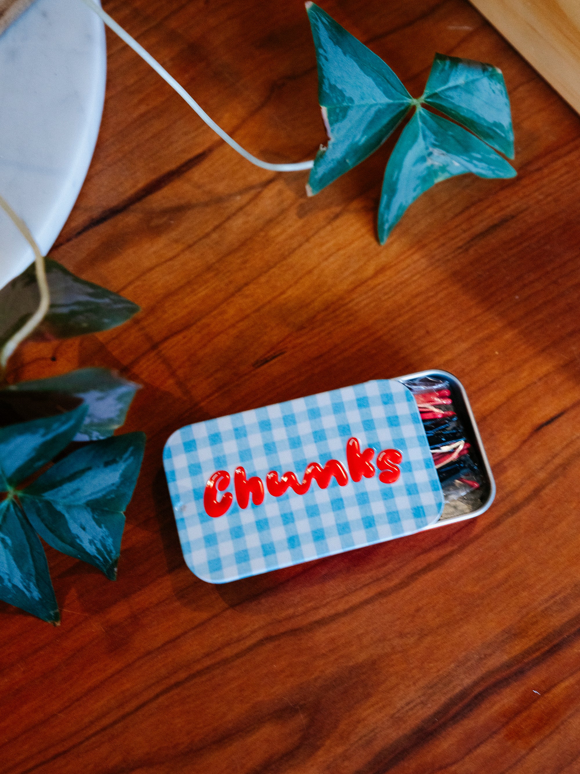 Picnic Bobby Pins