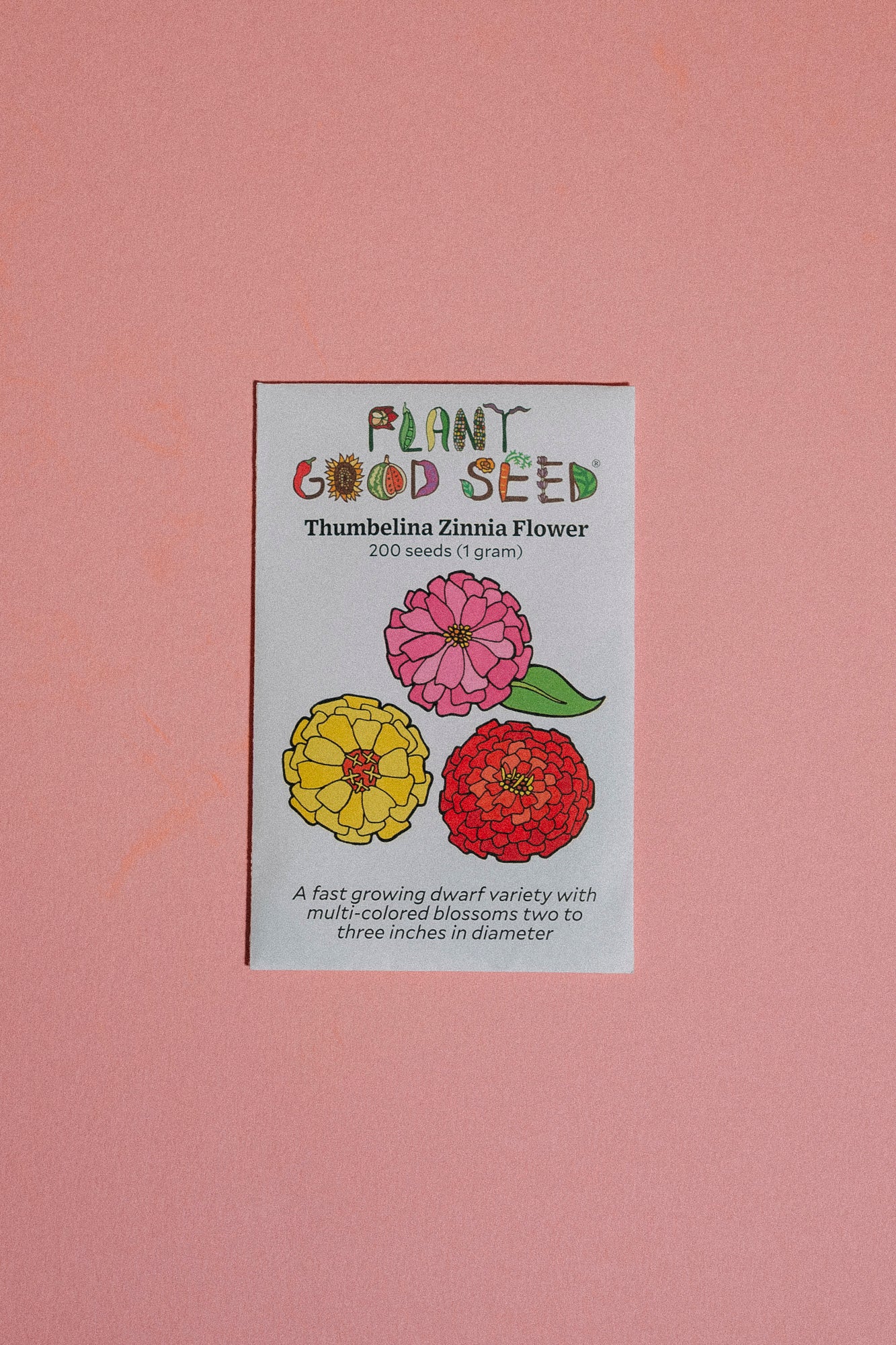 Assorted Flower Seeds