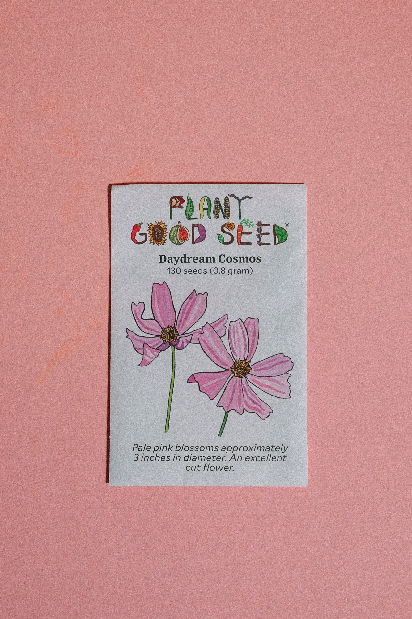 Assorted Flower Seeds