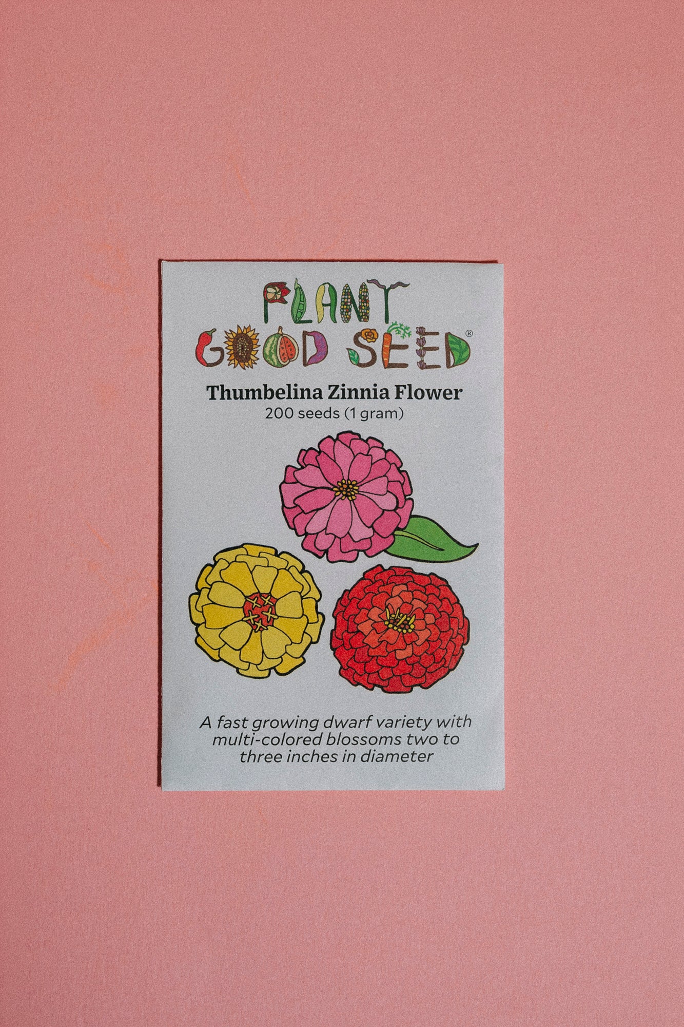 Assorted Flower Seeds