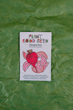 Assorted Vegetable Seeds