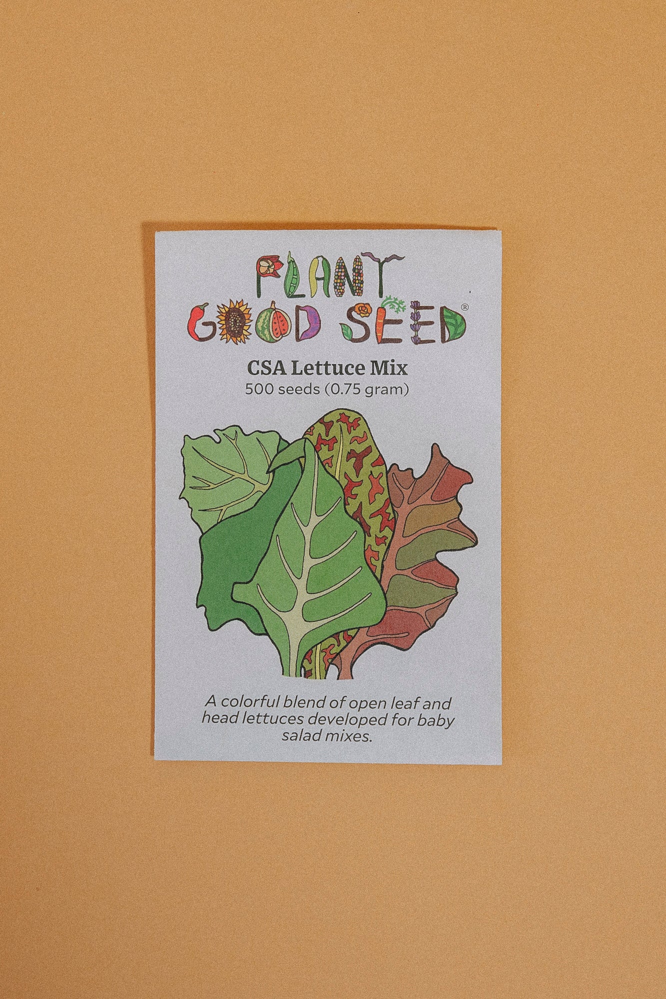 Assorted Vegetable Seeds