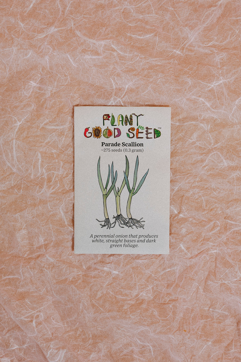 Assorted Herb Seeds