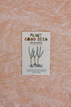 Assorted Herb Seeds