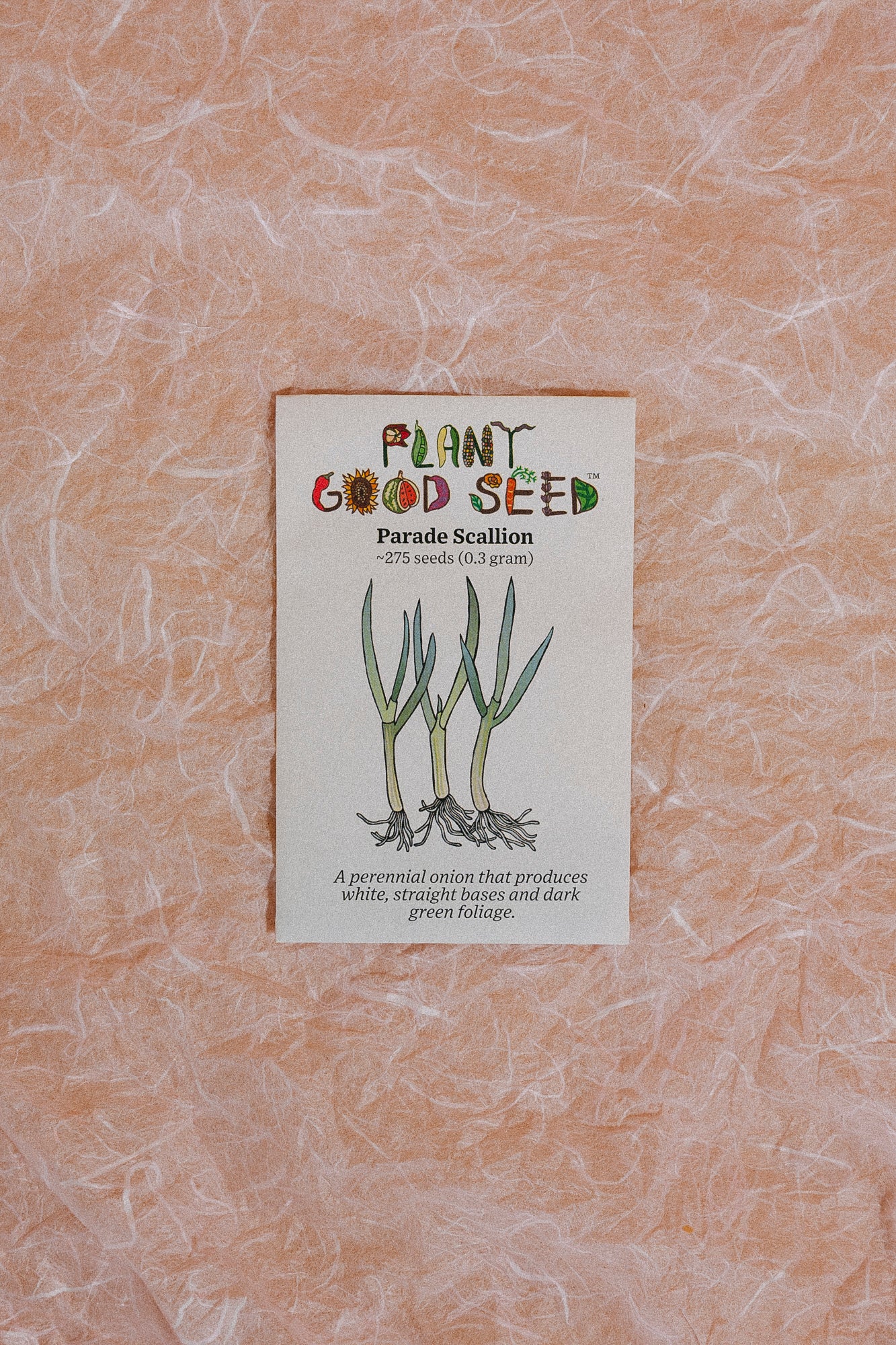 Assorted Herb Seeds