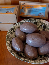 Load image into Gallery viewer, Rotating Soap Holder Refill in Exfoliating Cedar
