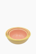 Enamel Bowl Set