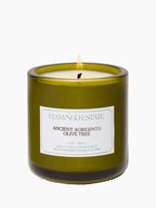 Ancient Agrigento Olive Tree Candle