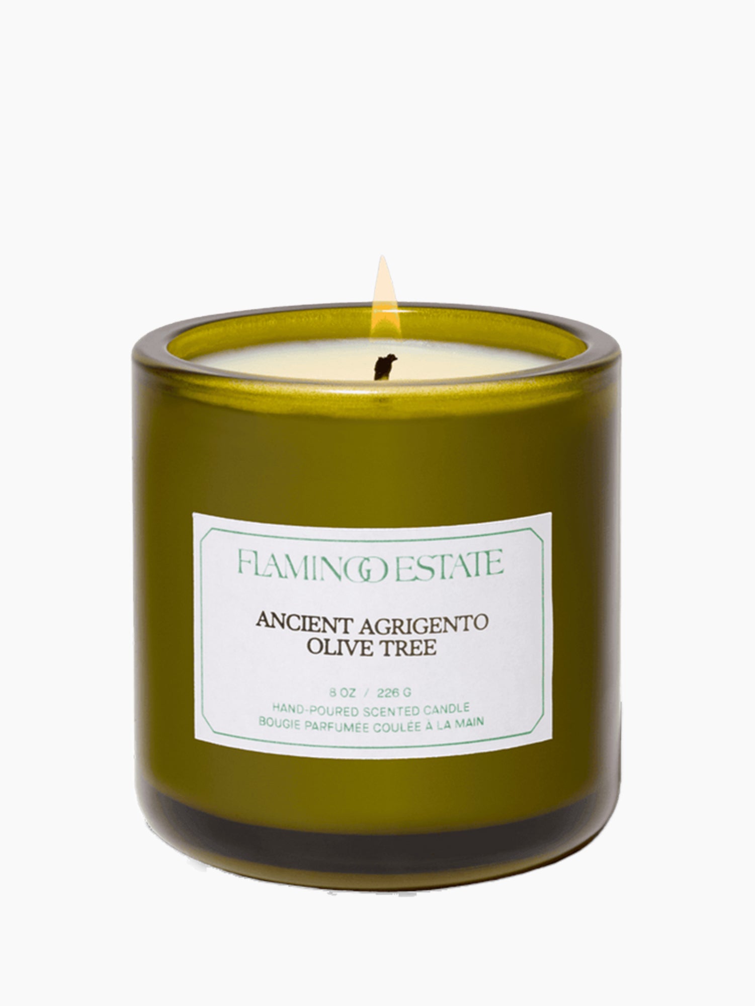 Ancient Agrigento Olive Tree Candle