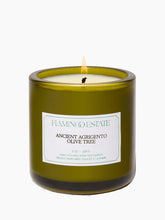 Load image into Gallery viewer, Ancient Agrigento Olive Tree Candle
