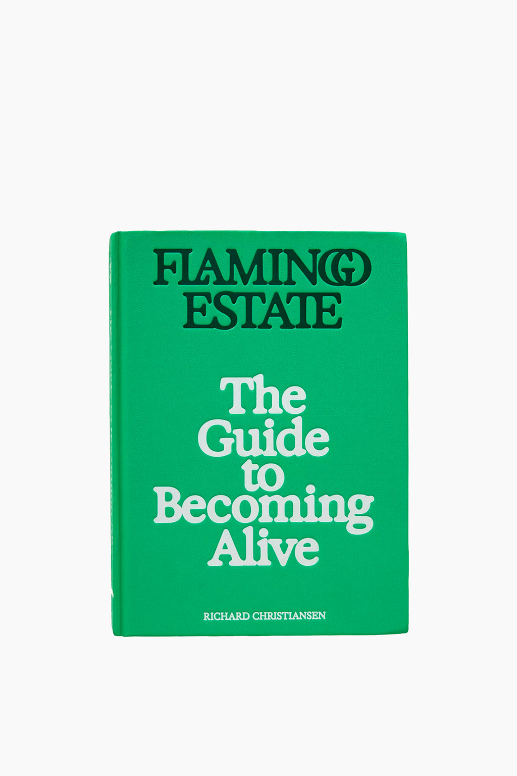 The Guide to Becoming Alive