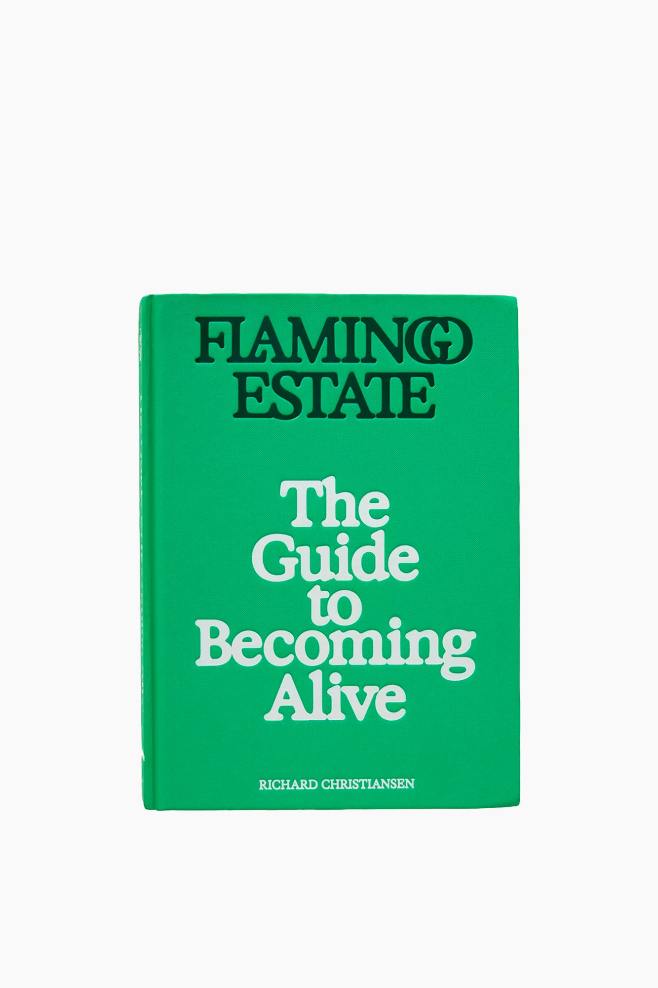 The Guide to Becoming Alive
