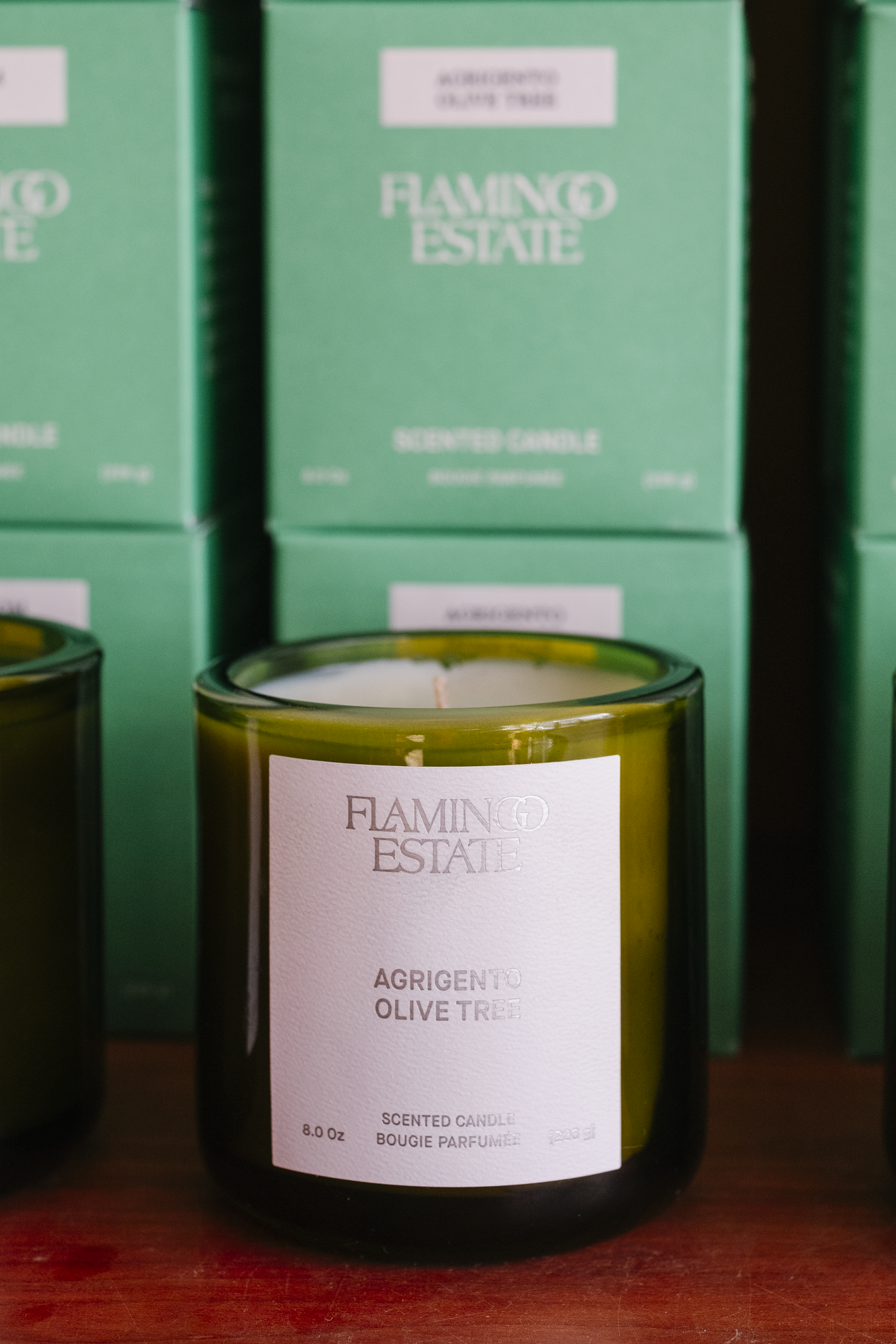 Ancient Agrigento Olive Tree Candle