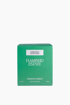 Ancient Agrigento Olive Tree Candle