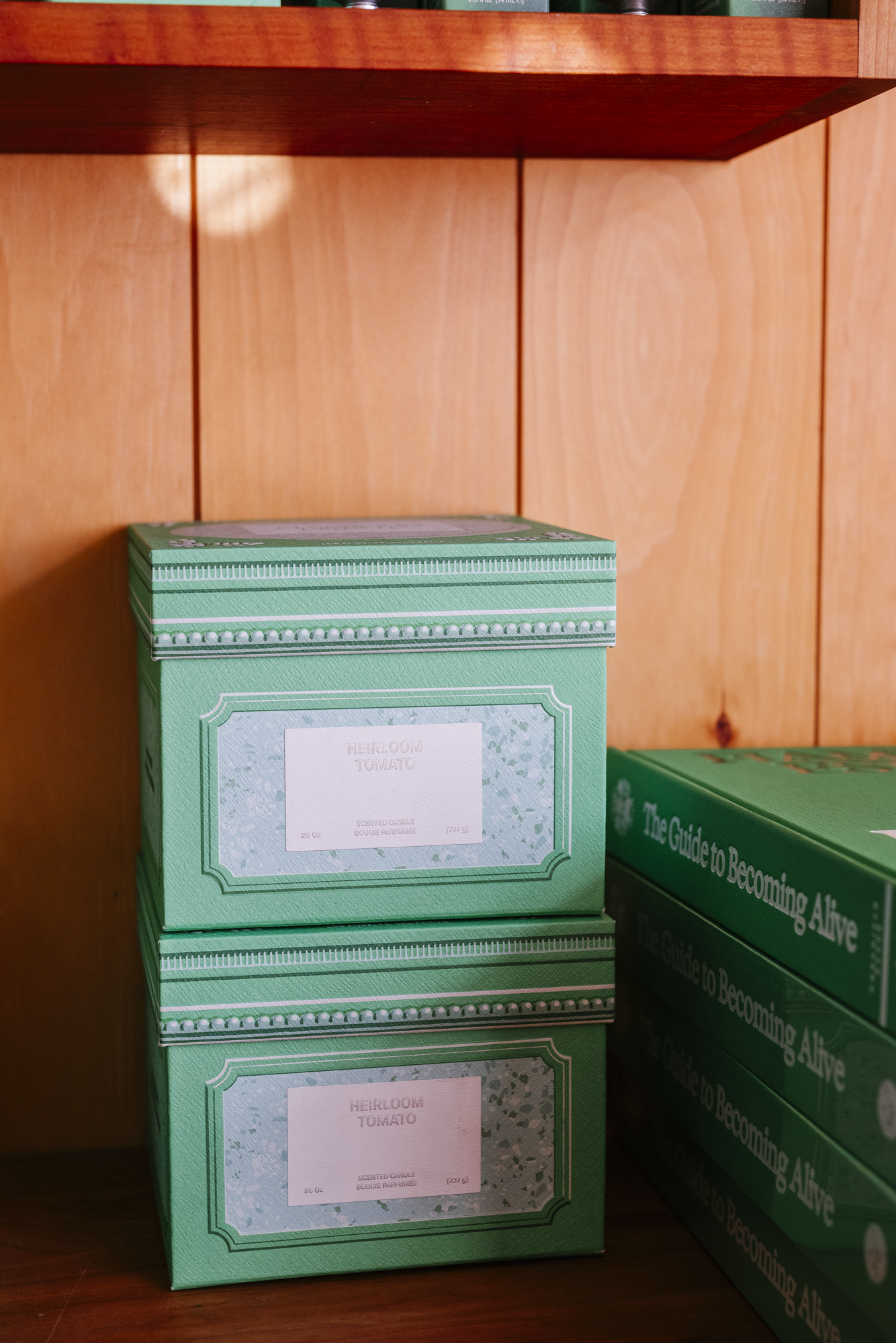 Roma Heirloom Tomato XL Candle