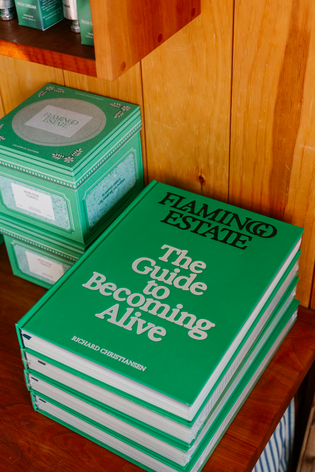 The Guide to Becoming Alive