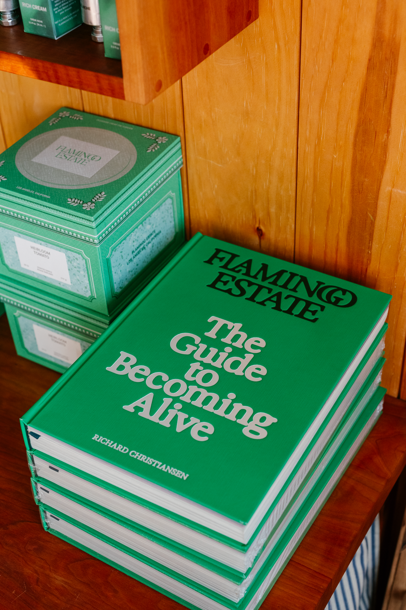 The Guide to Becoming Alive