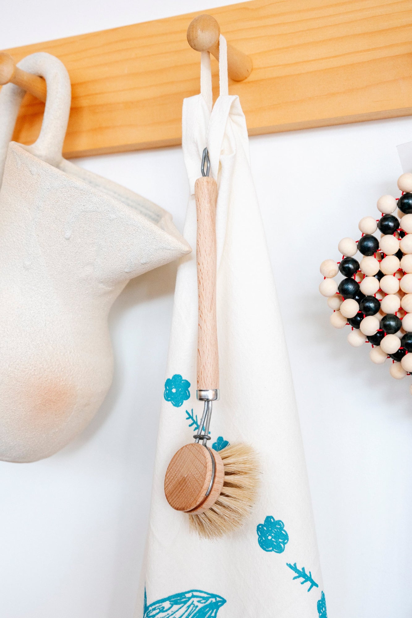 Everyday Dish Brush with Hook
