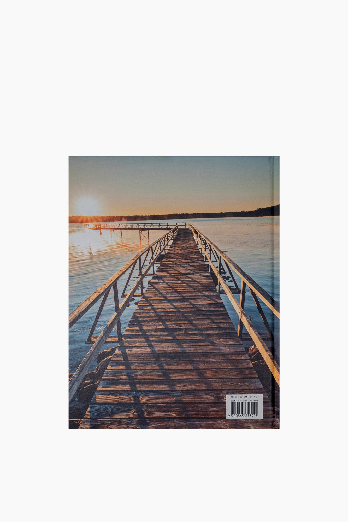 Maine House: Summer and After