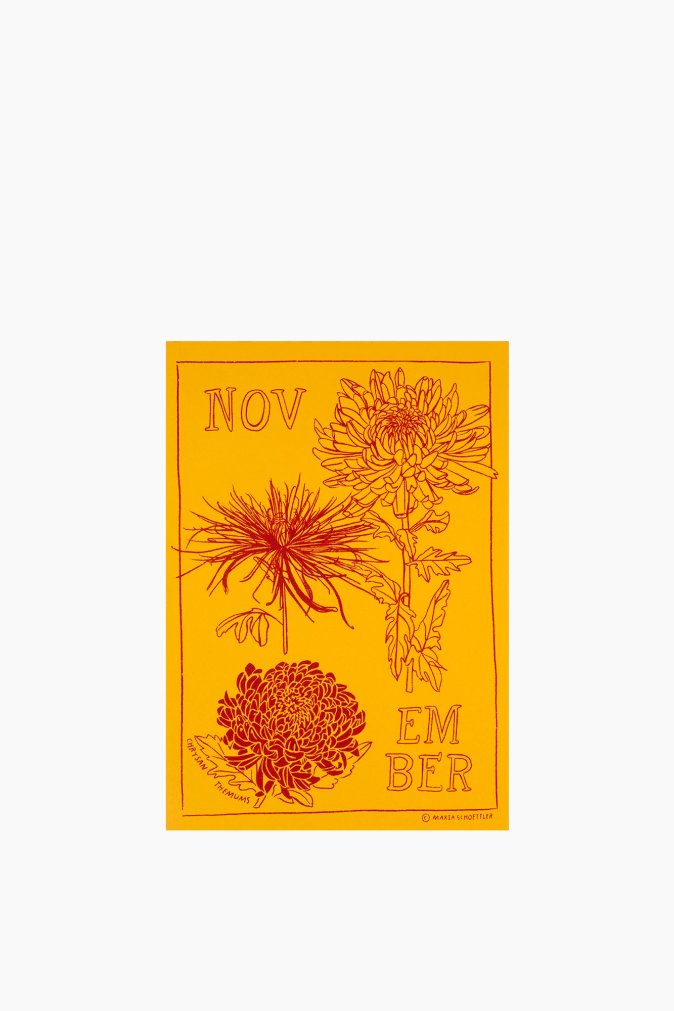 Birth Month Flower Print