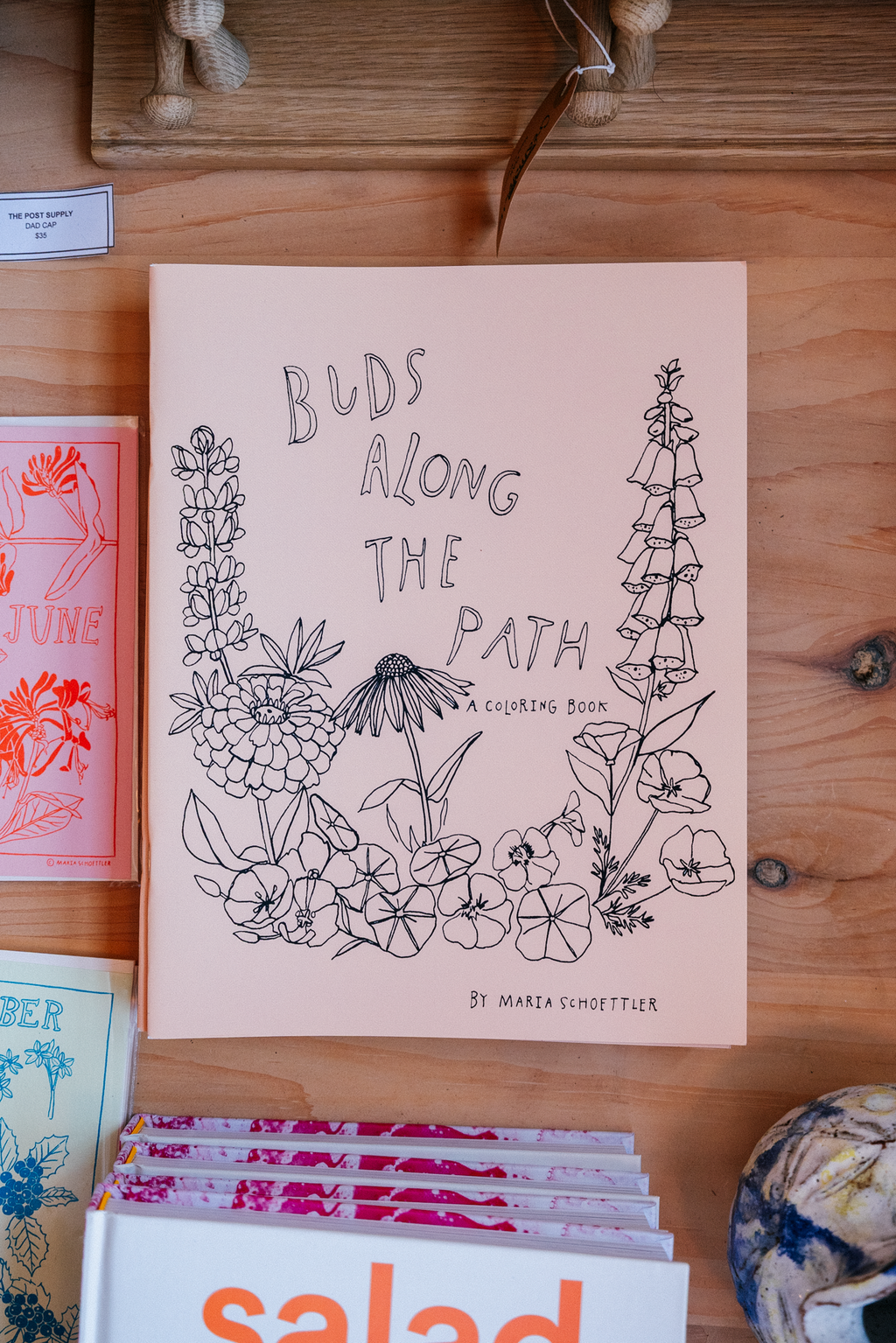 Buds Along the Path Coloring Book