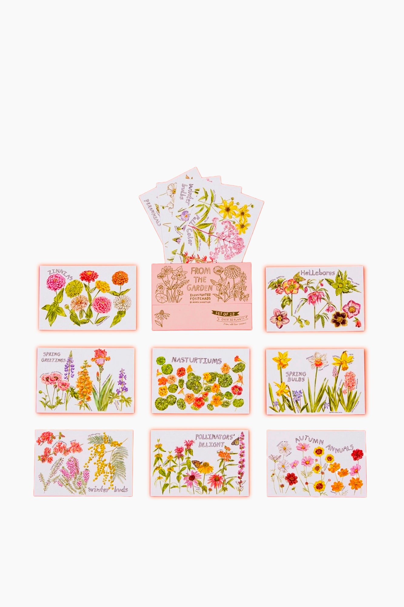 From the Garden Postcard Set