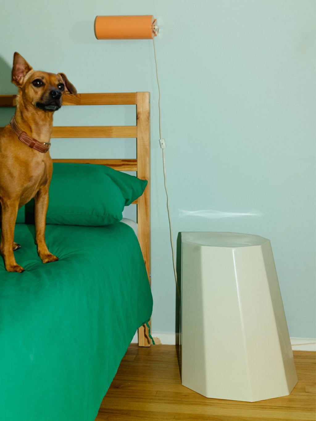 Arnold Circus Stool | 4 Colors