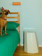 Arnold Circus Stool | 4 Colors