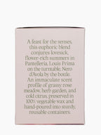 Night Blooming Jasmine & Damask Rose Candle