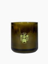 Load image into Gallery viewer, Night Blooming Jasmine &amp; Damask Rose Candle
