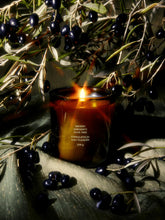 Load image into Gallery viewer, Ancient Agrigento Olive Tree Candle
