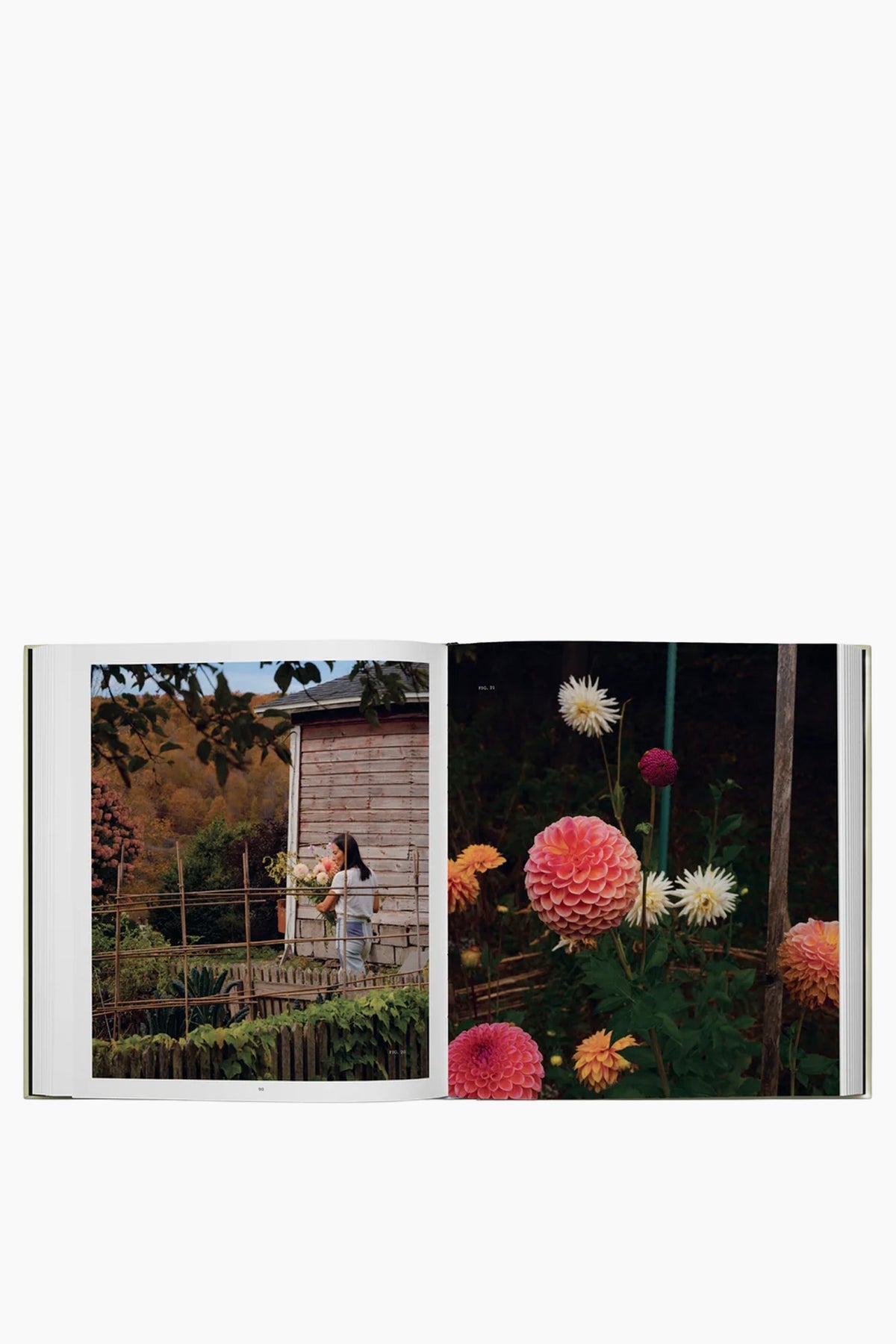 Once Around the Sun: Seasonal Rituals, Food, and Stories from a House Upstate