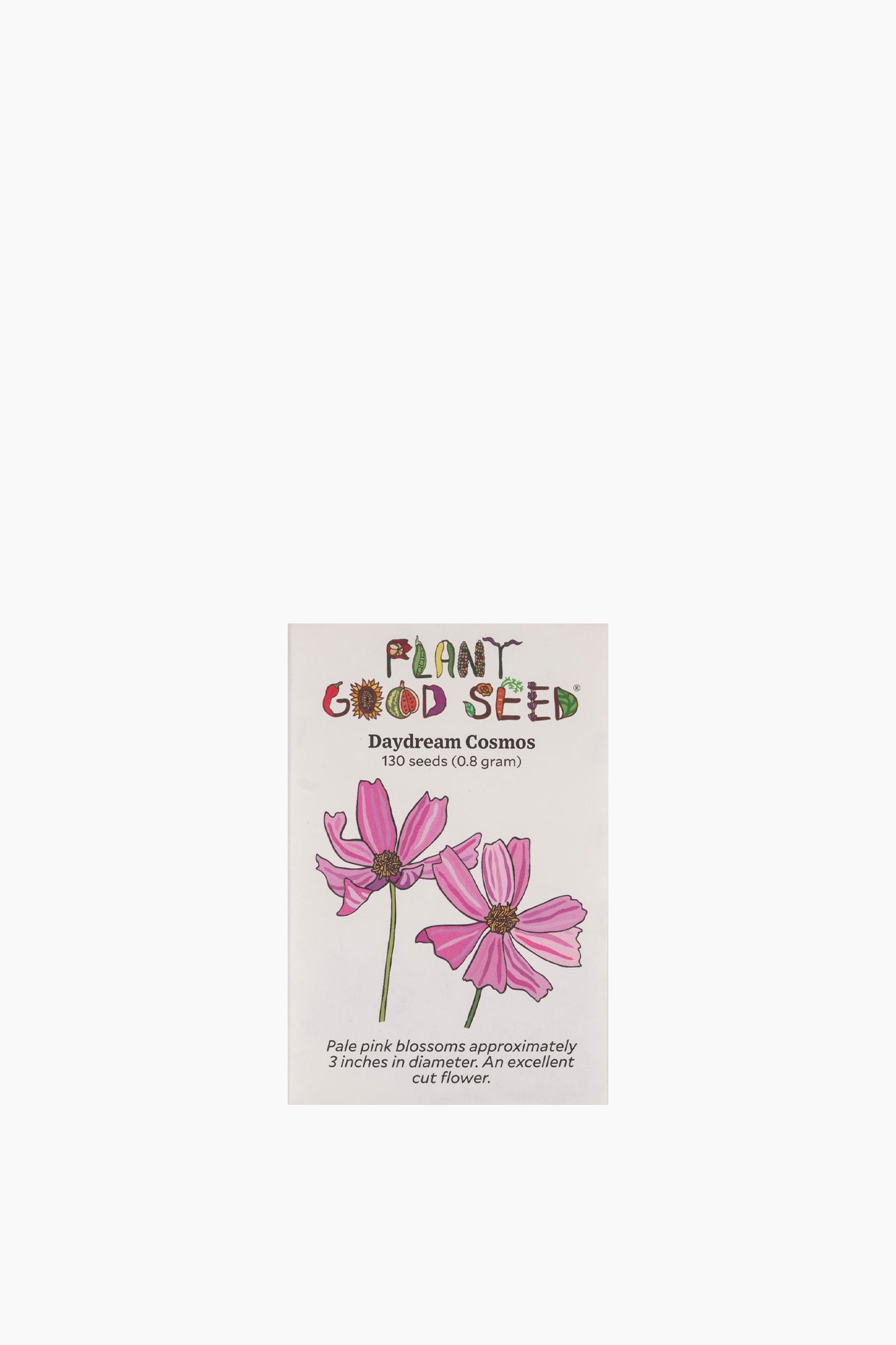 Assorted Flower Seeds