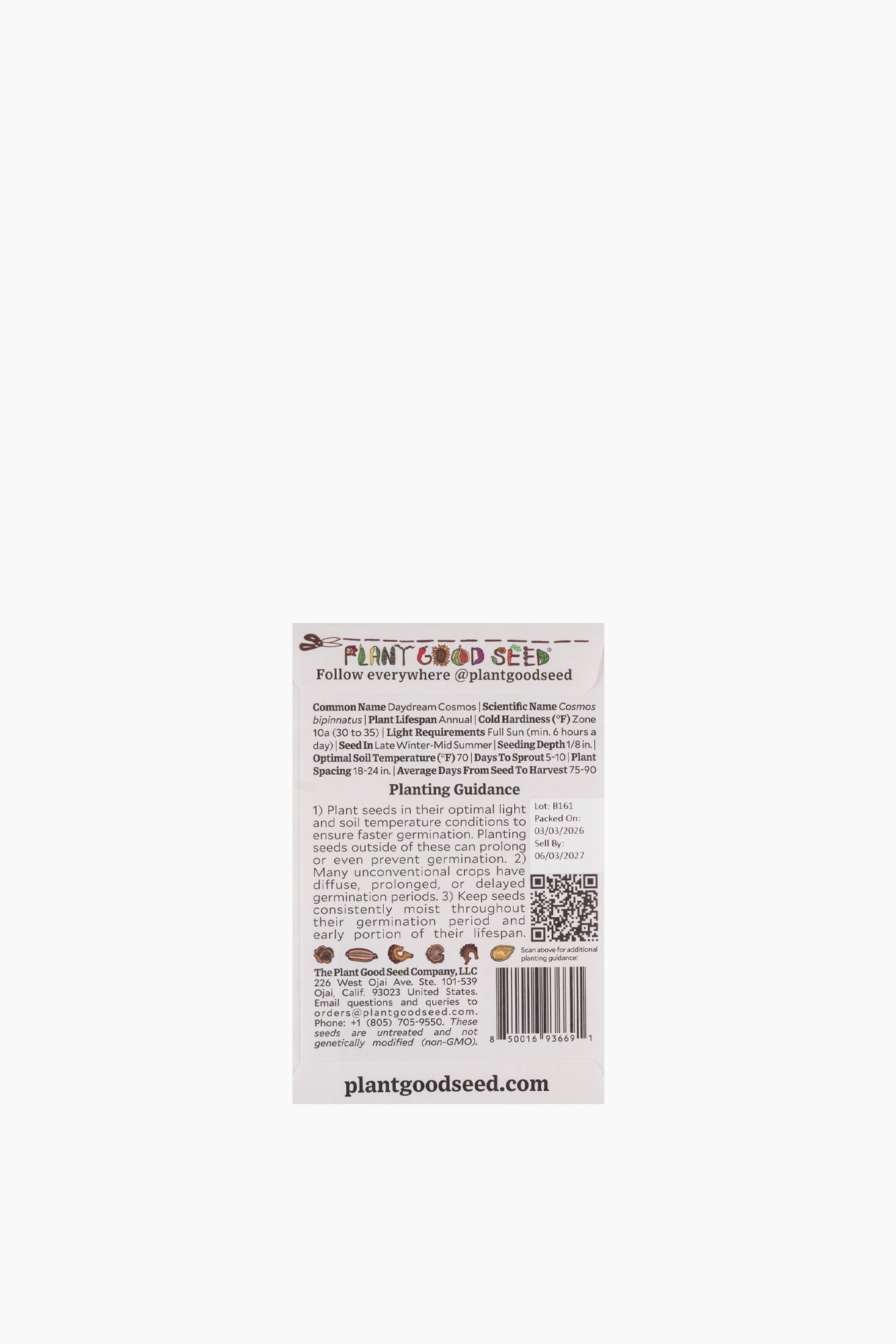 Assorted Flower Seeds