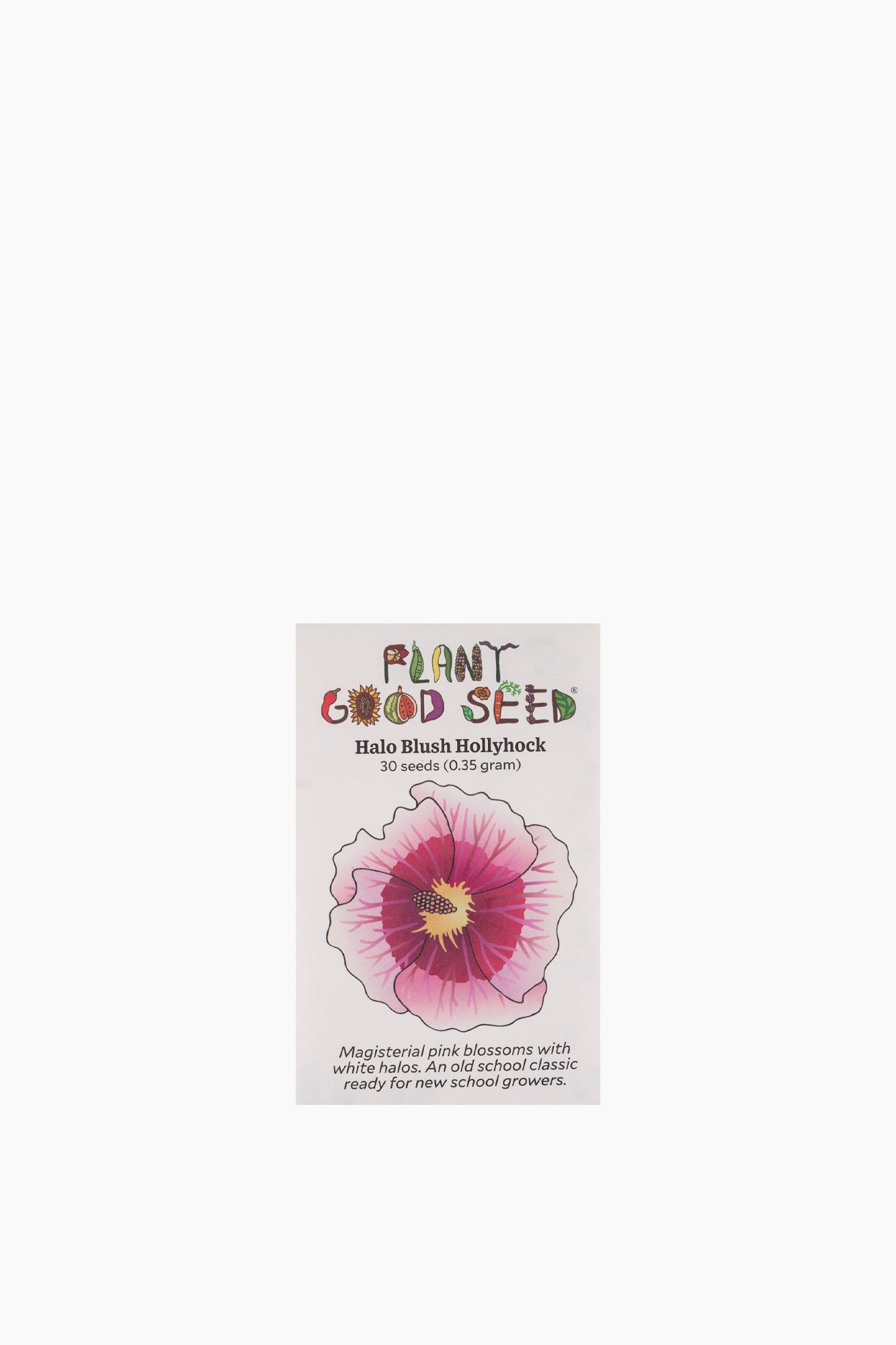 Assorted Flower Seeds
