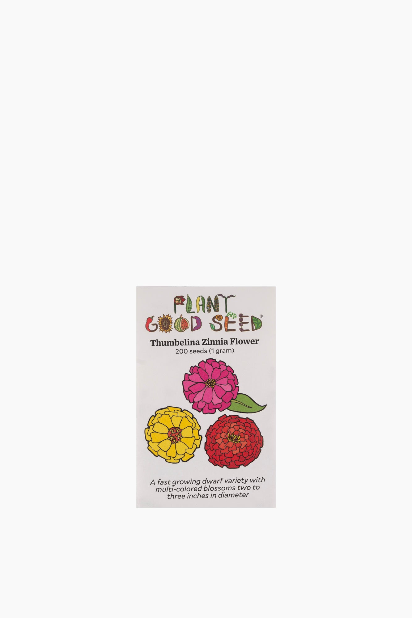 Assorted Flower Seeds