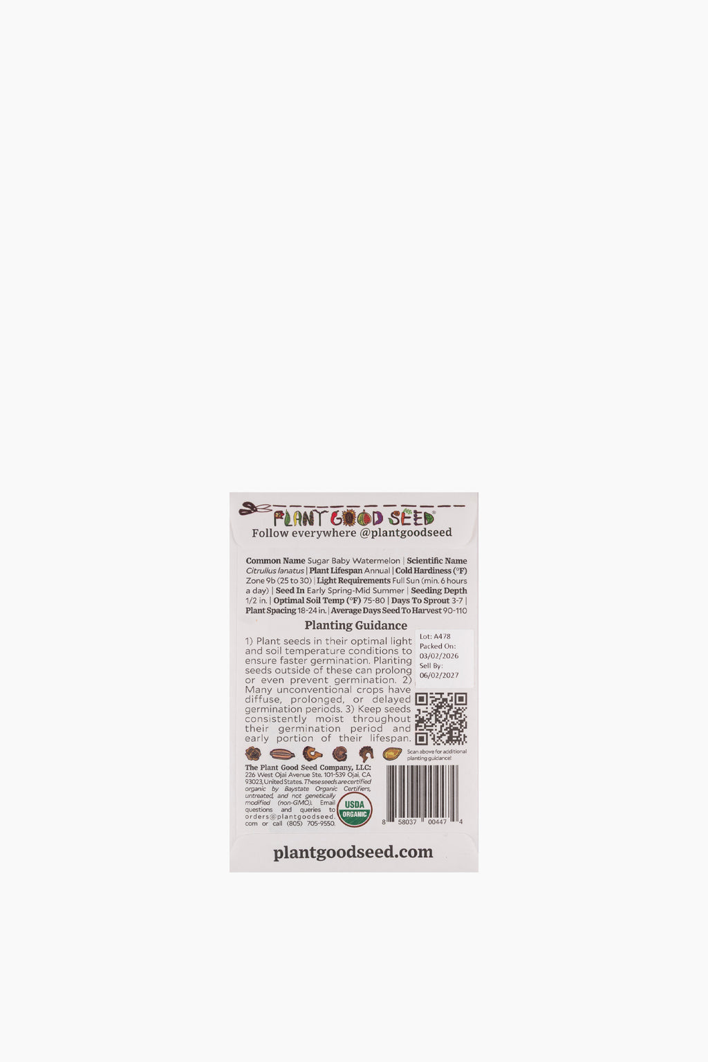 Assorted Fruit Seeds