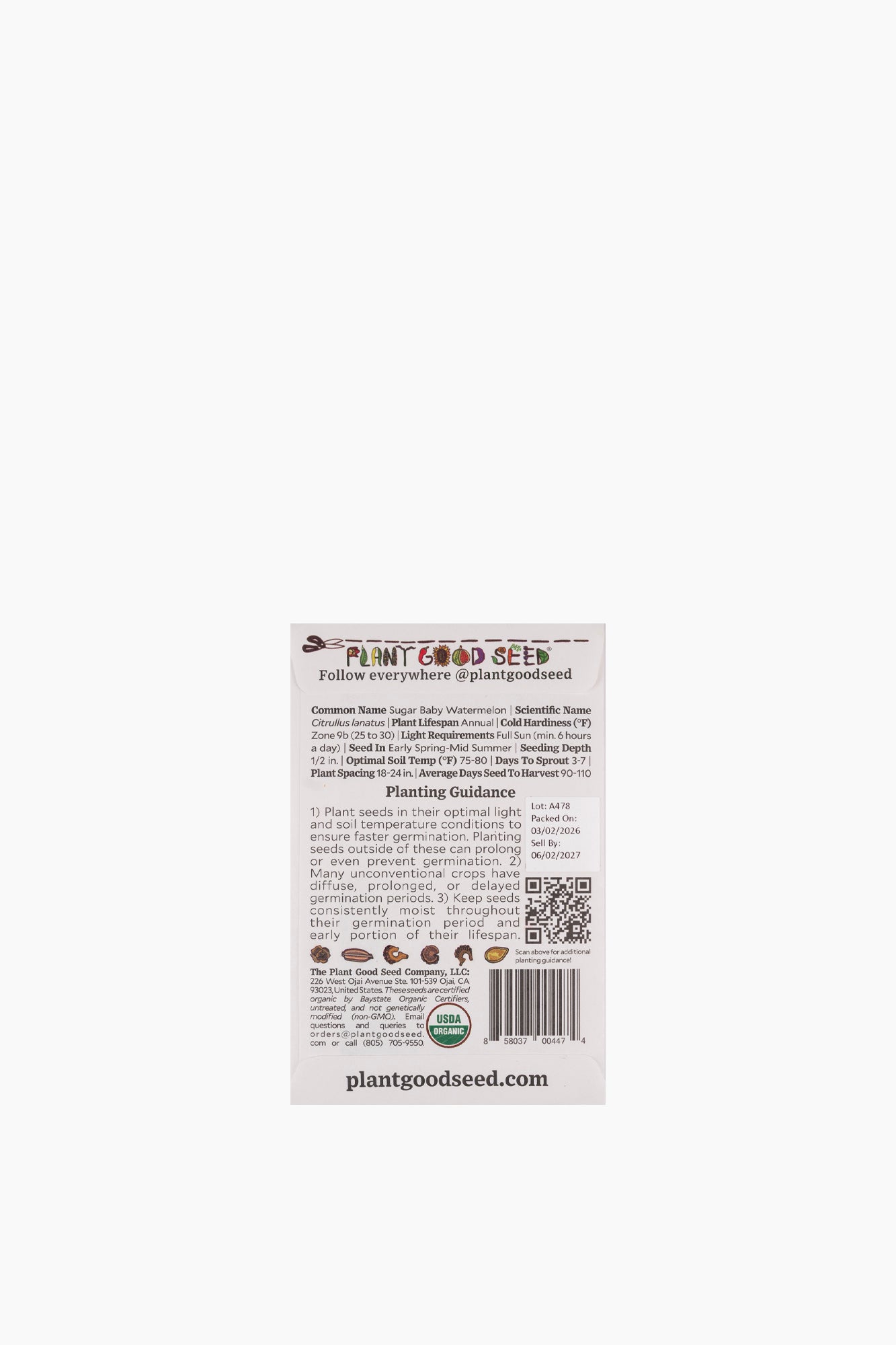 Assorted Fruit Seeds