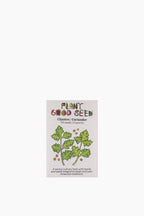 Assorted Herb Seeds