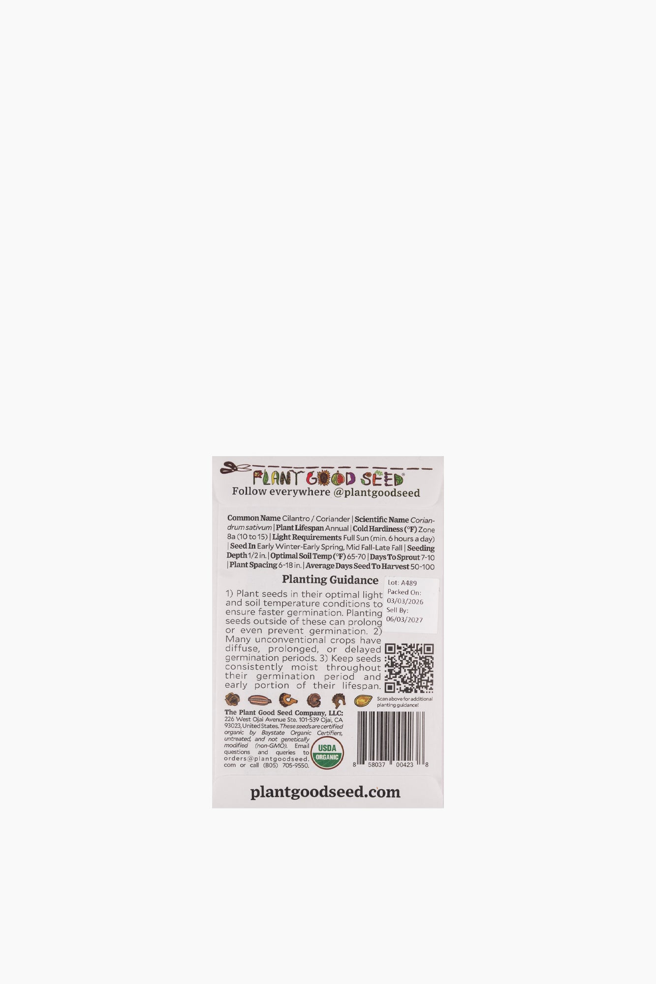 Assorted Herb Seeds