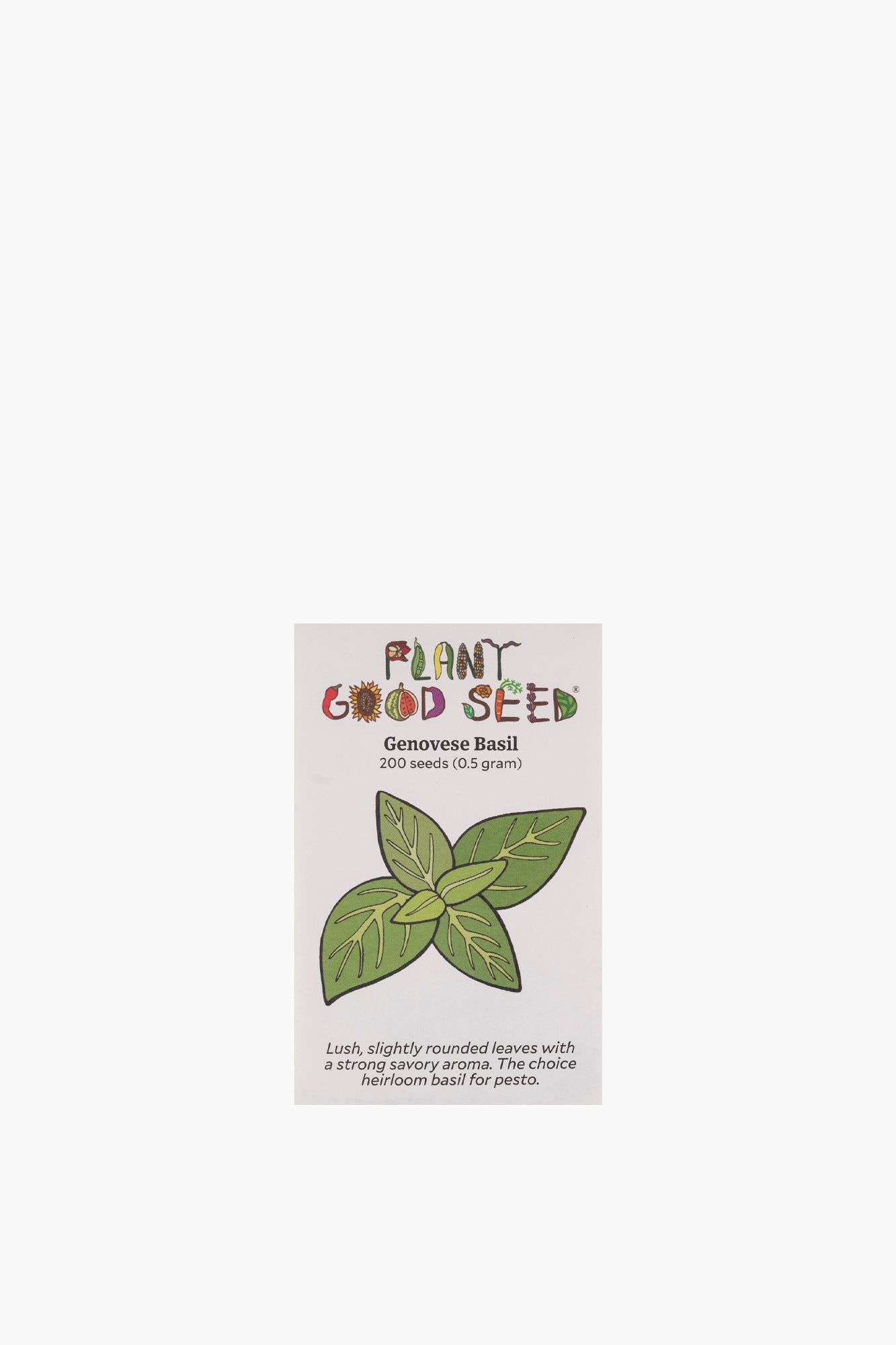 Assorted Herb Seeds