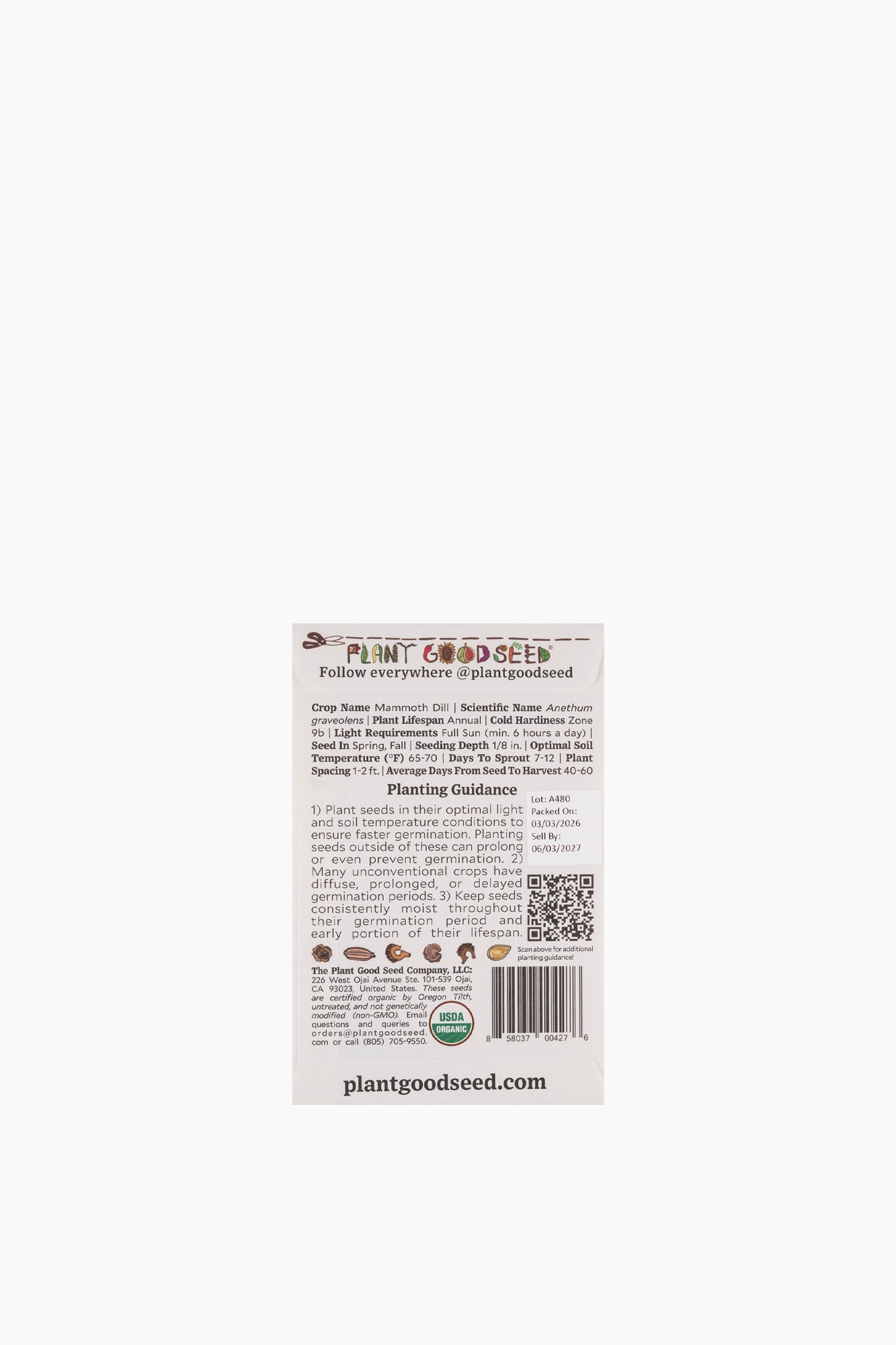 Assorted Herb Seeds
