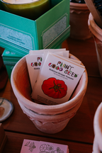 Assorted Fruit Seeds