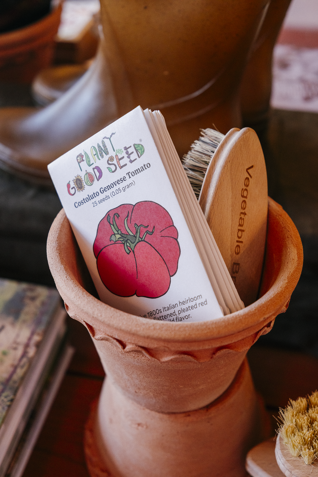 Assorted Fruit Seeds