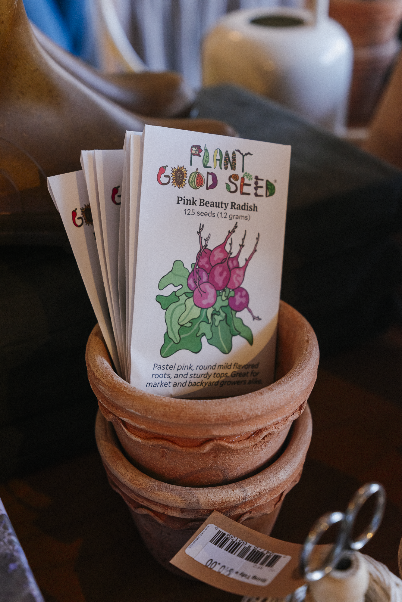Assorted Vegetable Seeds