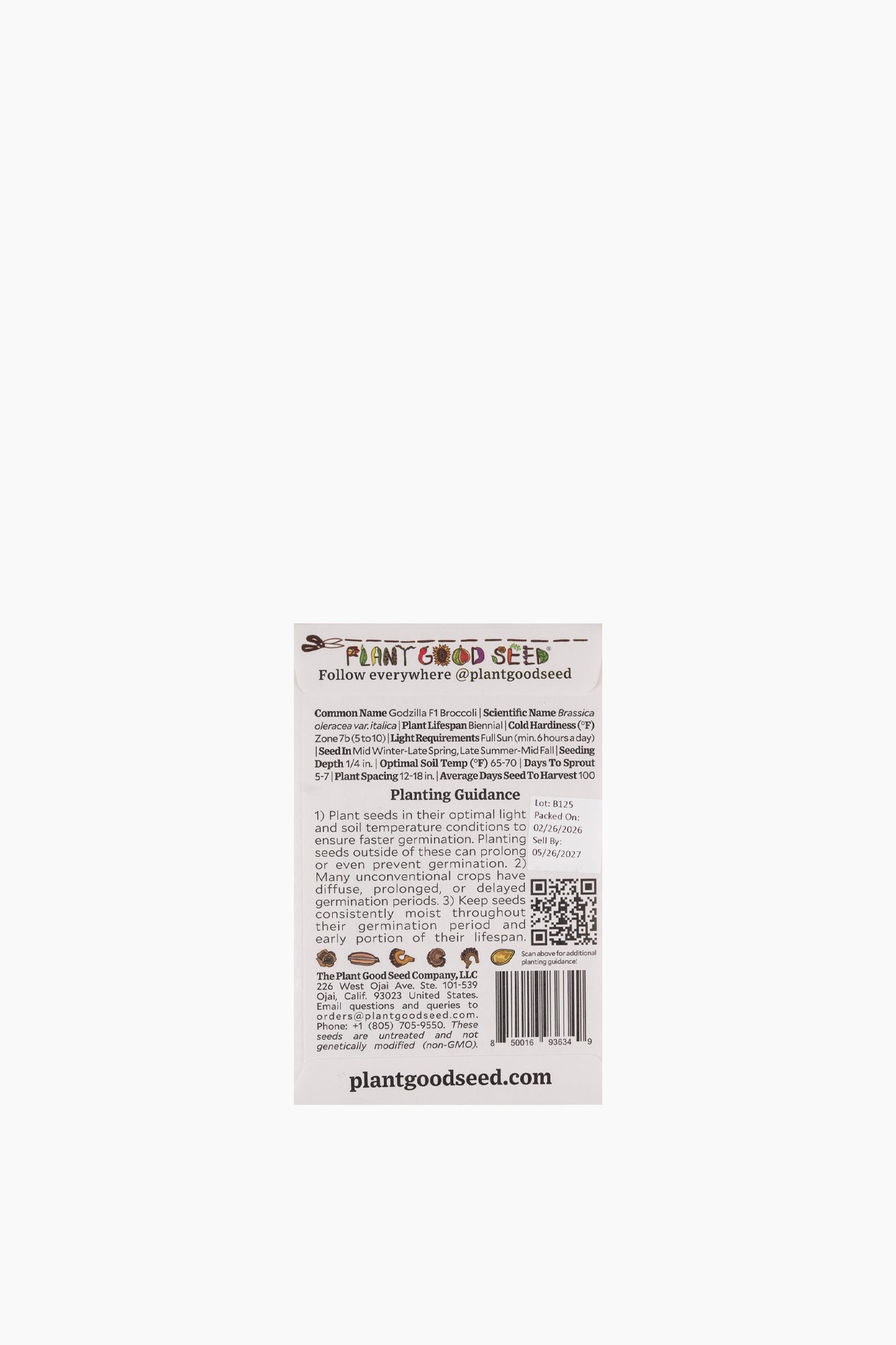 Assorted Vegetable Seeds
