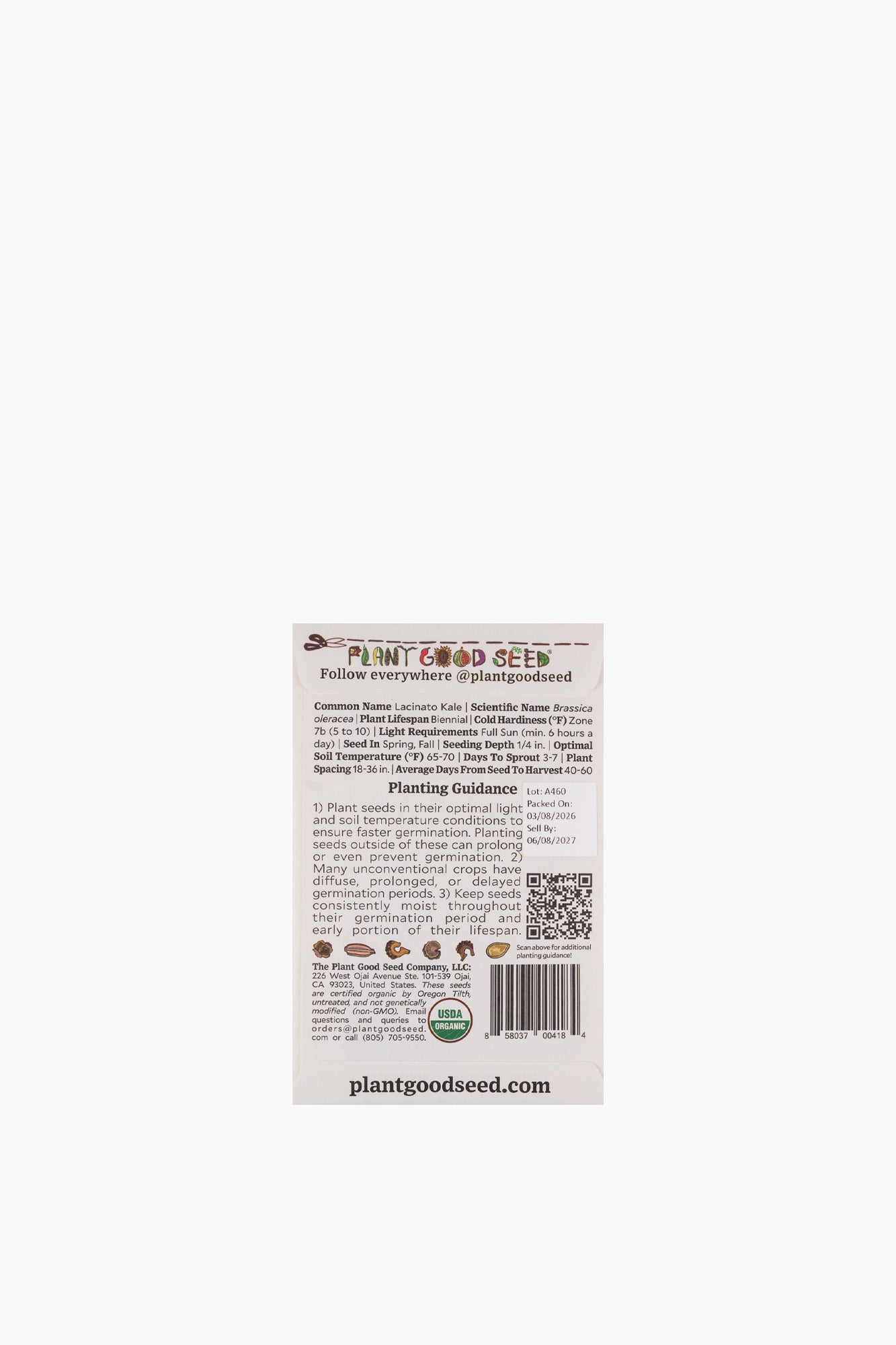 Assorted Vegetable Seeds